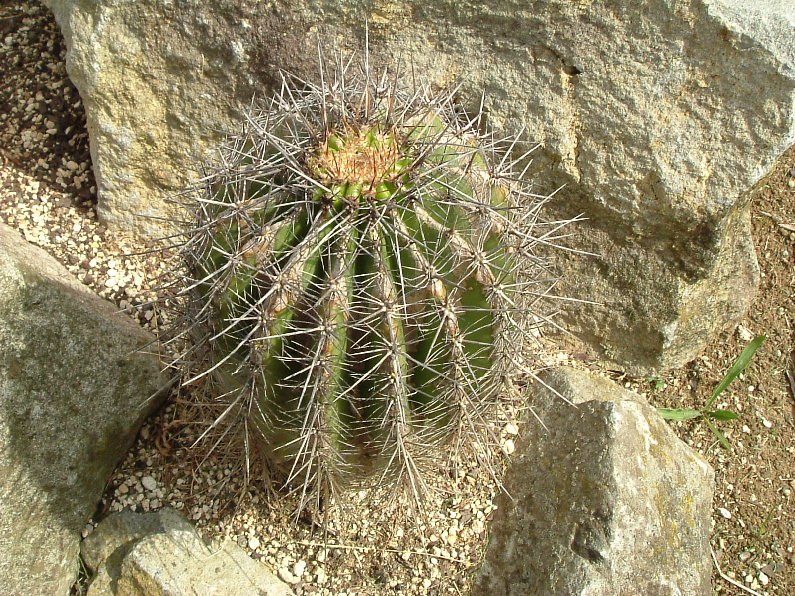 2006_1224Image0018